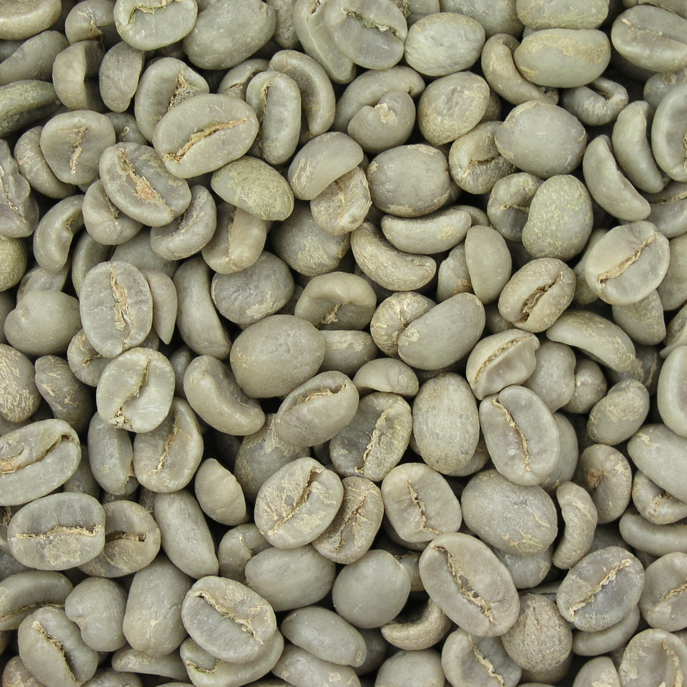 Kopi Kebumen